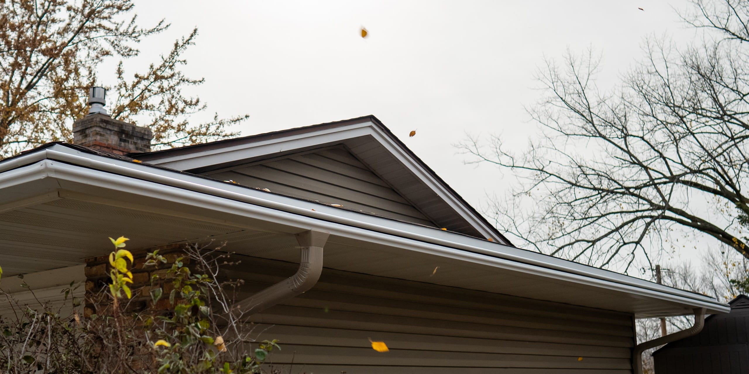 Apple Valley LeafGuard 