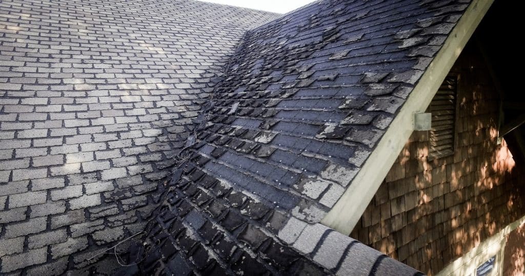 curling shingles