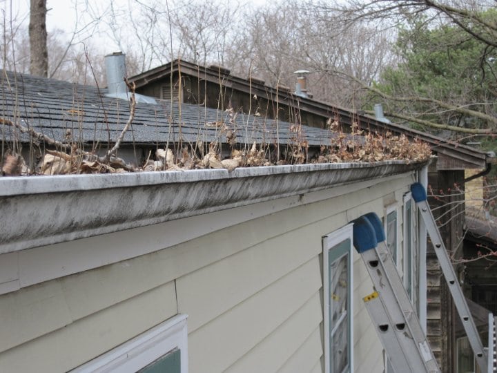 clogged gutters