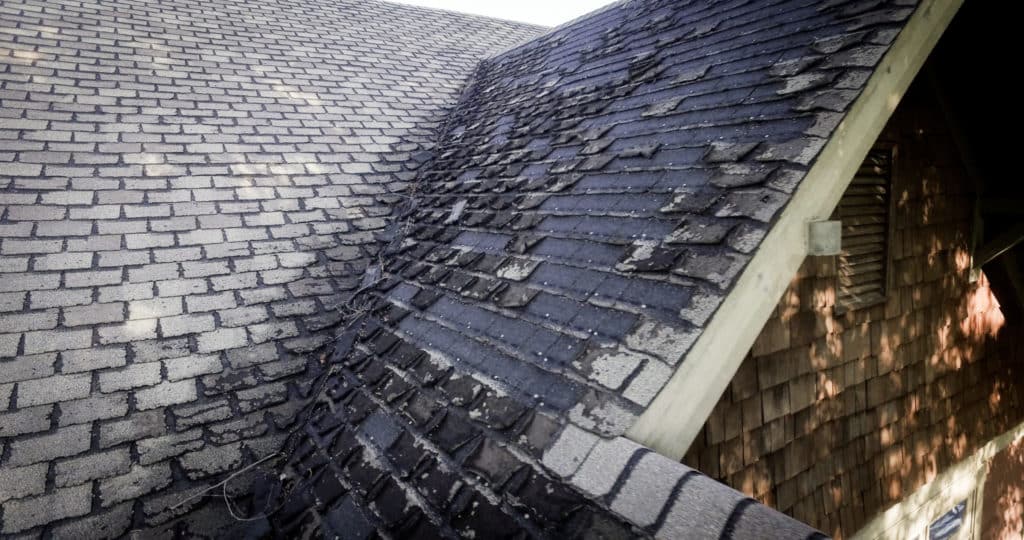 before roof 