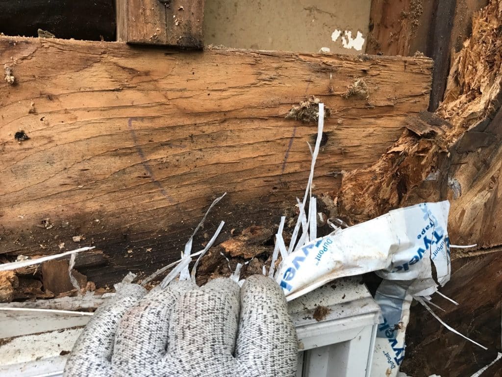 window dry rot repair