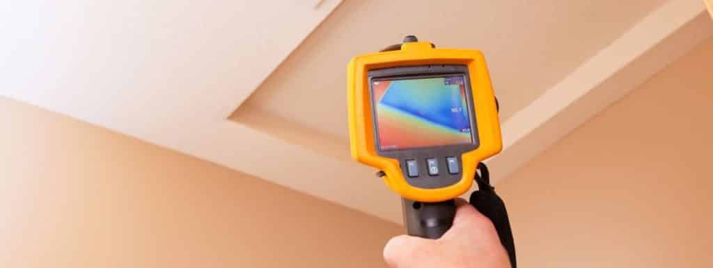 Flir imaging