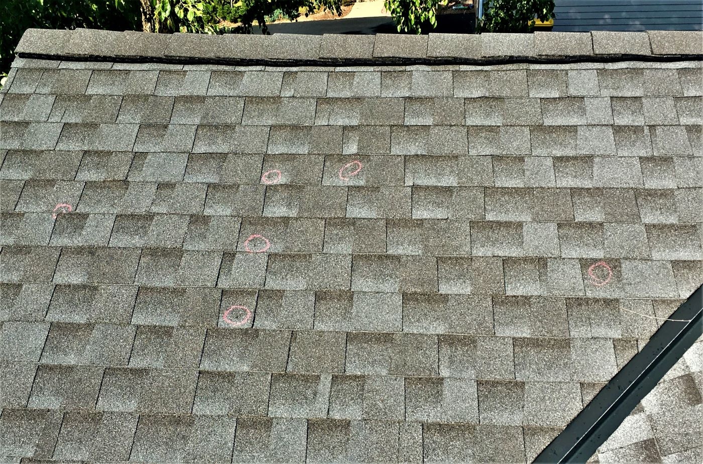 hail to roof