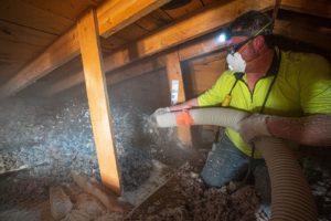 cellulose insulation