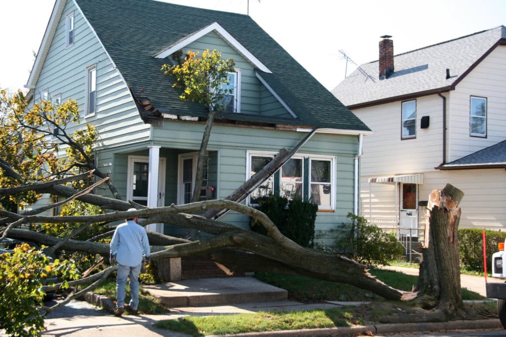 Storm Damage Ham Lake MN
