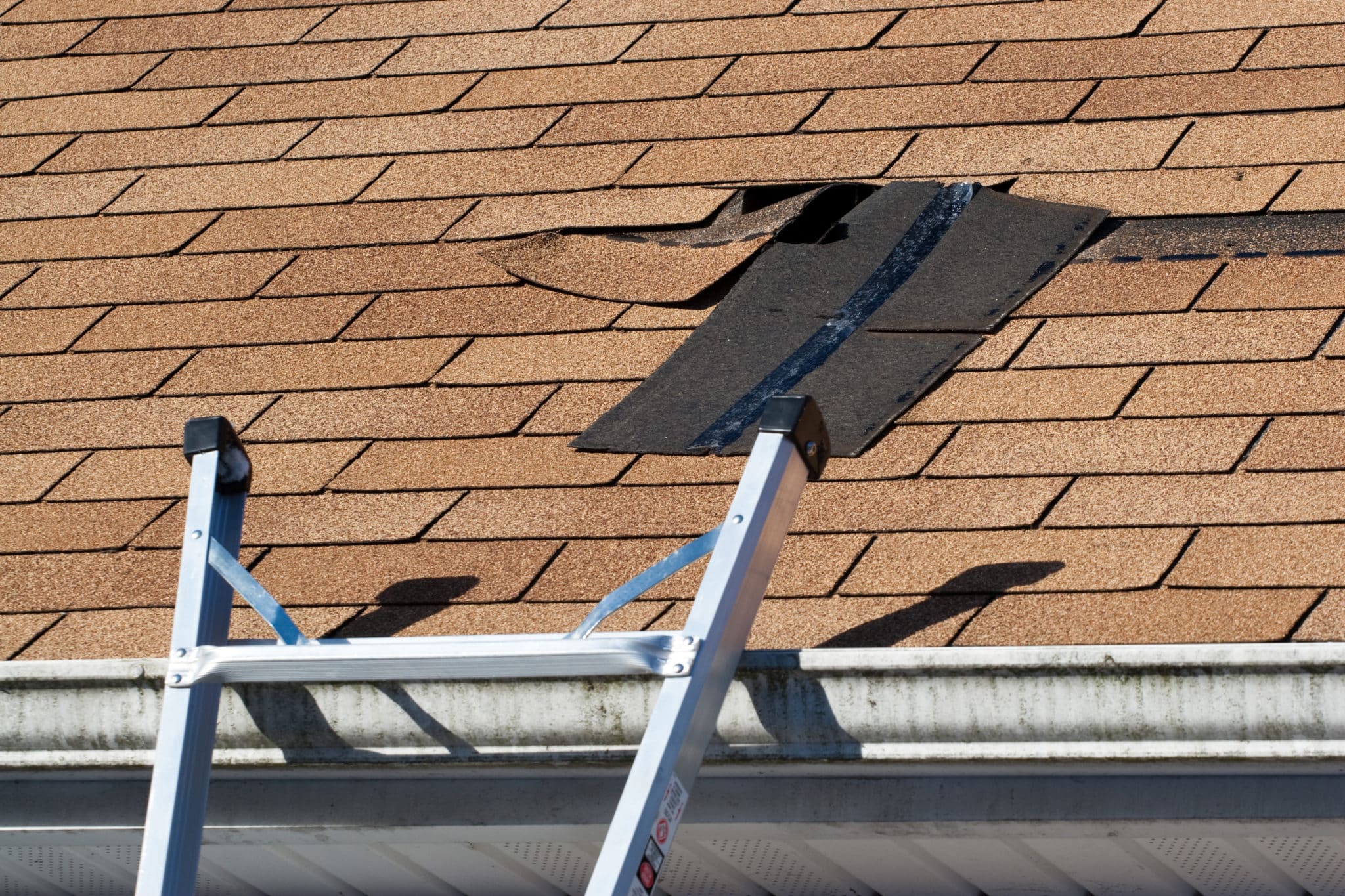 Roof with loose shingles