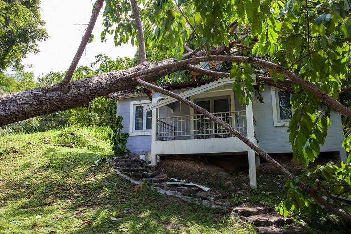 Storm Damage Coon Rapids MN 