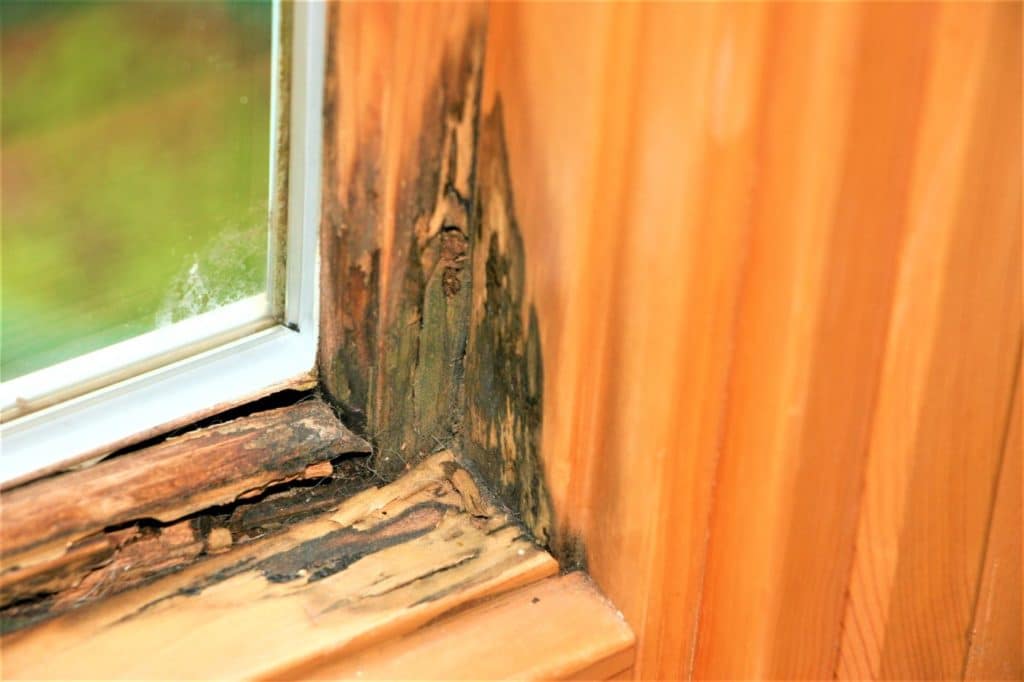 Replace rotted window sill