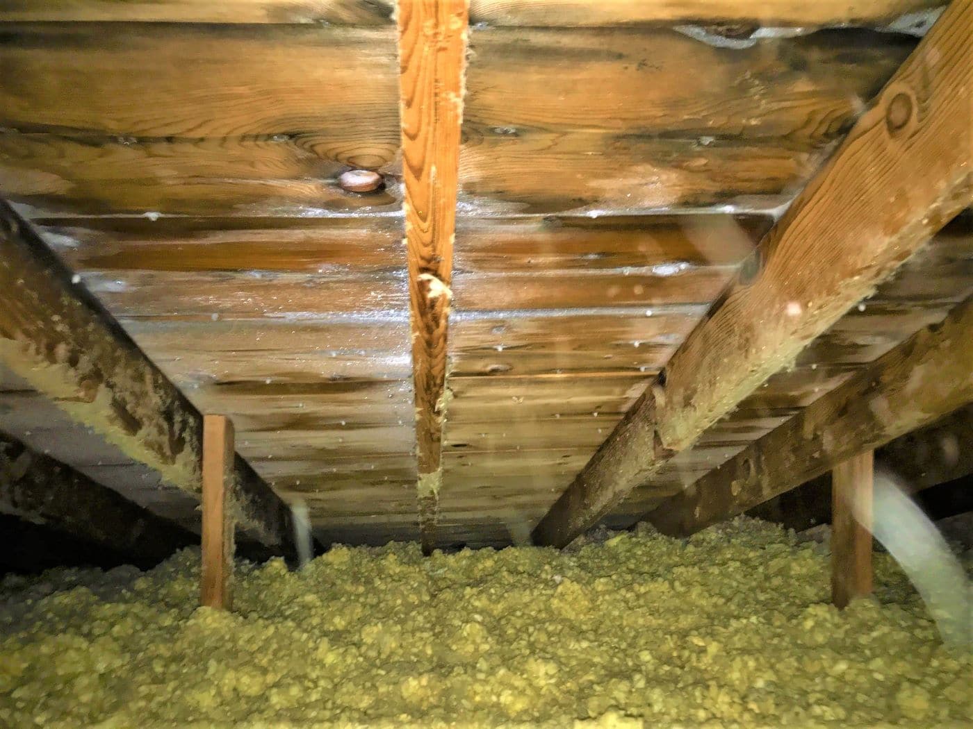 attic frost