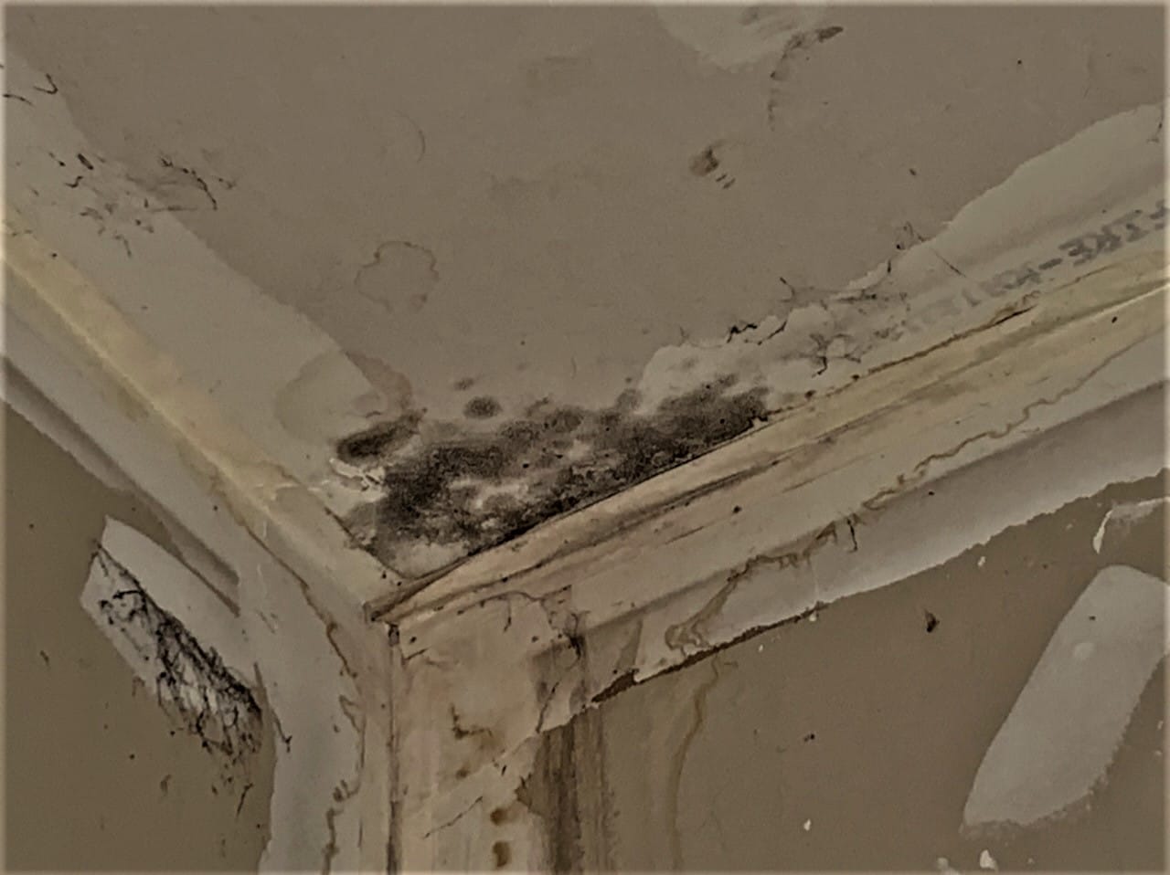 wet ceiling