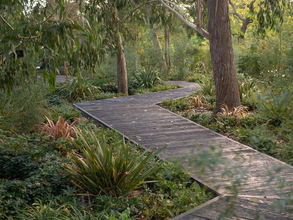 Rustic deck