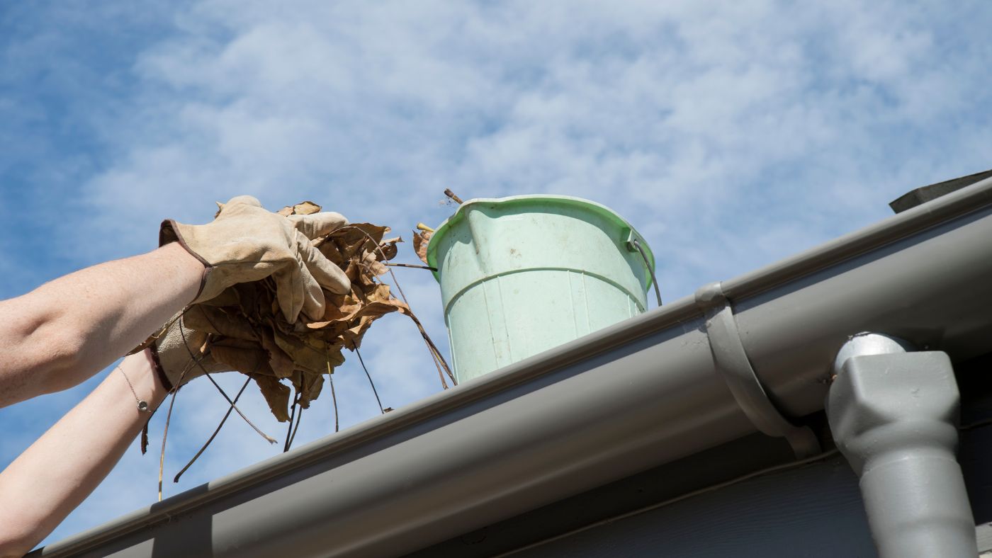  clogged gutters