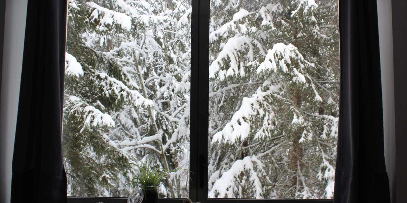winter windows
