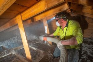 blown cellulose insulation